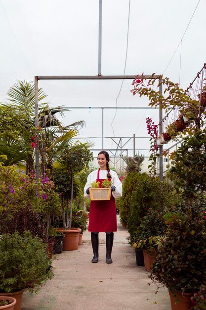 Landscape design and garden planning showcasing plant selection and outdoor greenery arrangement.